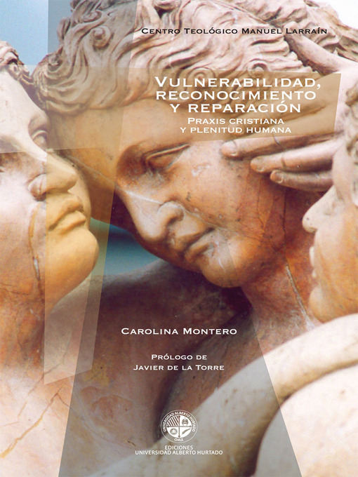 Cover image for Vulnerabilidad reconocimiento y reparación